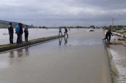 إجراءات استعجالية لتعويض الفلاحين المتضررين بولاية أم البواقي