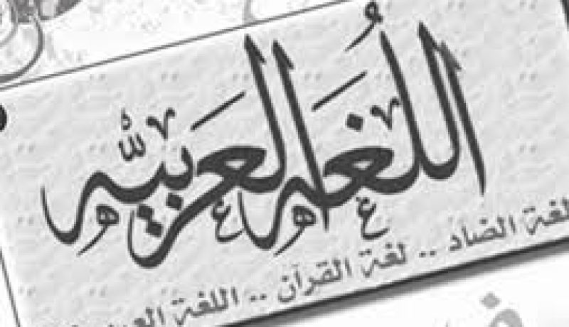 باحثون يدعون الى ضرورة جعل اللغة العربية جامعة وموحدة في الجزائر
