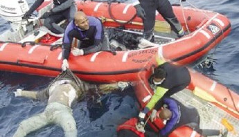 هلاك تلميذين غرقا و ثلاثة آخرين في الإنعاش في رحلة مدرسية خاصة بالقالة الطارف
