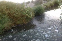 تحديد 3 بؤر لتجمع البعوض الناقل لحمى الملاريا بمنطقة العطف بغرداية