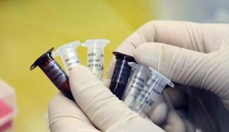 وفاة 43 شخصا جراء السلالة الجديدة من الأنفلونزا التي تجتاح الصين