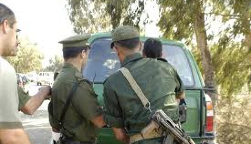 حجز2721 نبتة أفيون و347 نبتة للقنب الهندي في مسكنين تابعين لشخص ووالدته بولاية أدرار