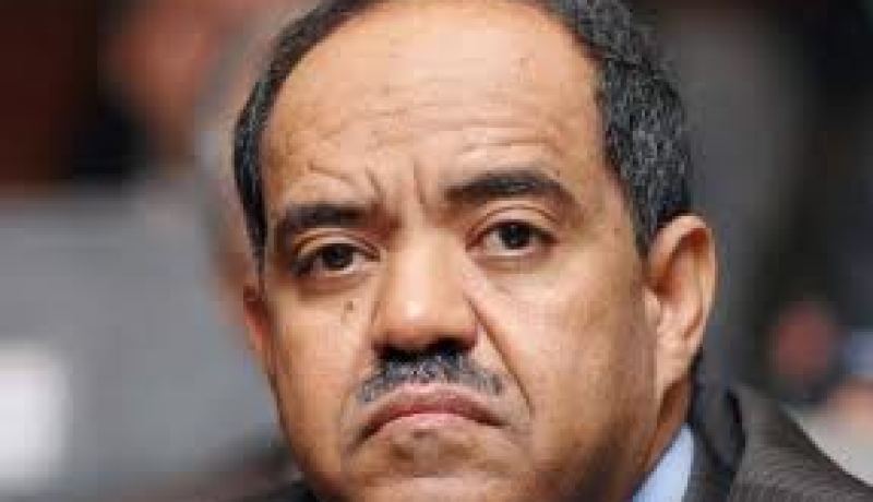 لكصاسي يدعو المجموعة الدولية لدعم البلدان العربية التي تعيش مرحلة انتقالية