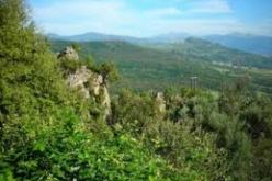 إنجازات قطاع الغابات تفك العزلة عن 17 منطقة ريفية بالمسيلة