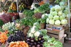 أسعار المنتوجات الفلاحية ستنخفض مع دخول المنتوجات الموسمية