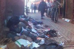 الدعوة الى تثمين استغلال النفايات المنزلية وما شابهها للمساهمة في التنمية المستدامة