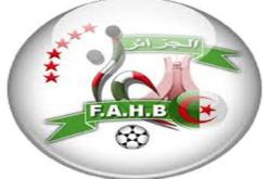 إقالة الامين العام للاتحادية الجزائرية لكرة اليد آيت ديب من منصبه