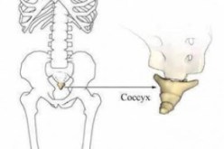 اعجاز علمى يؤكد ان الانسان يعود بعد الموت