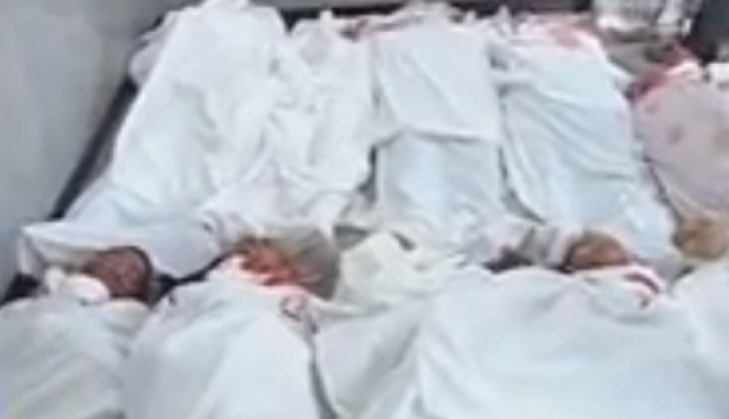 173 قتيلا و1330 مصابا حصيلة اشتباكات بين الأمن المصري و مؤيدي مرسي أمس الجمعة