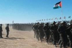 انشاء بباريس شبكة الشبيبة الفرنسية المتضامنة مع القضية الصحراوية