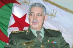 اللواء بوسطيلة يستقبل وفدا أمنيا تونسيا بقيادة المدير العام للحرس الوطني