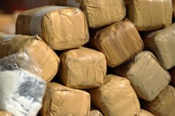 مفتشية الجمارك تحجز على 11 قنطارا من الكيف المعالج خلال 4 أشهر في النعامة