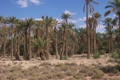 اتفاقية صداقة و تبادل بين بلديتي بيير بينيت رون الفرنسية و أولاد جلال