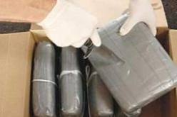 الجزائر تواجه جريمة دولية عابرة للحدود اسمها المخدرات