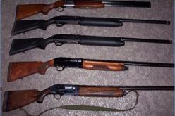 حجز10 أسلحة نارية واكتشاف ترسانة من الذخيرة داخل منزل في الجلفة