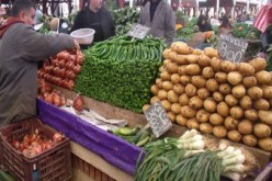 ارتفاع نسبة التضخم الى 8.6 بالمائة خلال شهر فيفري 2013