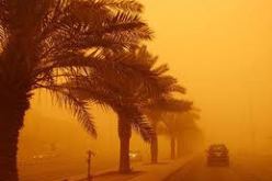 هبوب رياح قوية تتسبب في شلل حركة المرور في ادرار