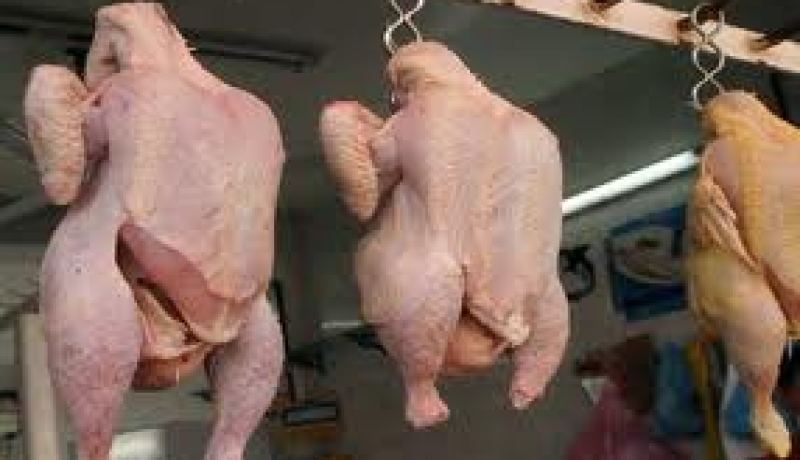 بن عيسى يرجع ارتفاع اسعار اللحوم البيضاء الى نفادها من السوق و يتوقع إنخفاضا