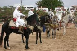 الجزائر خالية من مرض طاعون الخيول