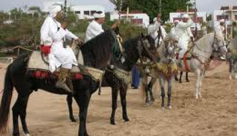 الجزائر خالية من مرض طاعون الخيول