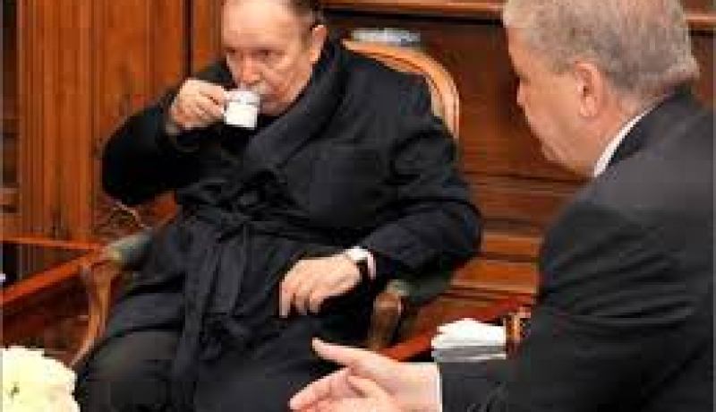 سلال يقاطع زيارته لتيزي وزو لإستقبال رئيس الجمهورية