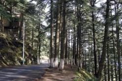 تغييرات بيئية تمس الغطاء الغابي و الثروة الحيوانية لحظيرة الشريعة في البليدة