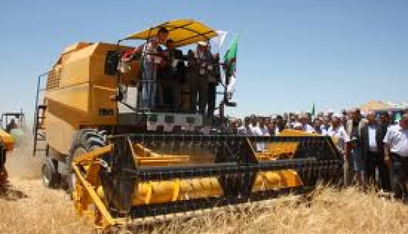 وزارة الفلاحة و التنمية تؤكد أنها أعدت برنامج ثري لإحياء اليوم العالمي للأغذية