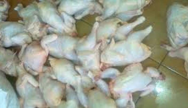 حجز أزيد من قنطار من الدجاج الفاسد بولاية ورقلة