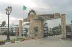 النزاعات المسلحة و الكوارث تتطلب تكفلا سريعا و متعدد الأشكال