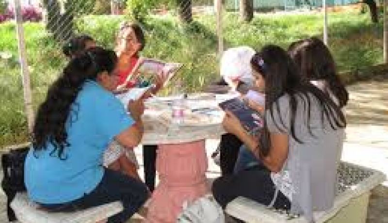 إطلاق مبادرة المطالعة في الهواء الطلق لصيف 2013