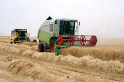 مشاريع لرفع طاقة تخزين الحبوب إلى حدود مليوني قنطار في البليدة