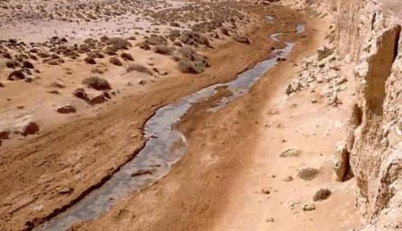 سيناتور أسترالي يدعو بلاده للتصويت في الأمم المتحدة لحل القضية الصحراوية