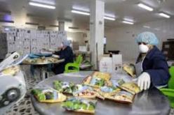 الدولة ستتدخل من خلال اجراءات تحفيزية لتشجيع الانتاج الوطني