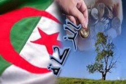 أزيد من 600 مشروع استثماري ممول من صندوق الزكاة في باتنة