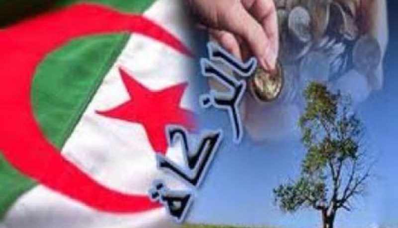 أزيد من 600 مشروع استثماري ممول من صندوق الزكاة في باتنة