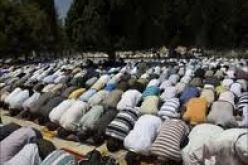 الجالية الجزائرية بالمهجر تلتئم بمناسبة عيد الأضحى المبارك