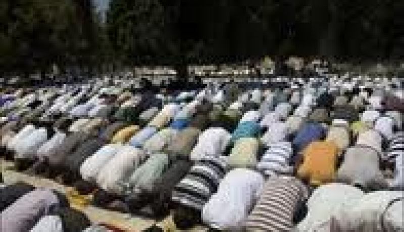 الجالية الجزائرية بالمهجر تلتئم بمناسبة عيد الأضحى المبارك