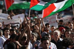 إصابة عشرات الفلسطينيين ونشطاء السلام بالاختناق فى مسيرات مناهضة للاحتلال