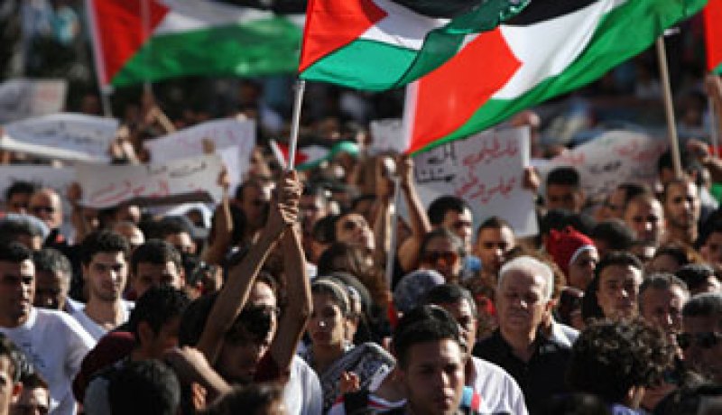 إصابة عشرات الفلسطينيين ونشطاء السلام بالاختناق فى مسيرات مناهضة للاحتلال