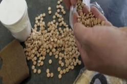 حجز أكثر من 40 ألف قرص مهلوس بتمنراست خلال شهر جوان الماضي