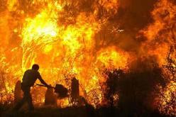 تشجيع المبادرة والتعاون لحماية الغابات و المحاصيل من الحرائق بخنشلة