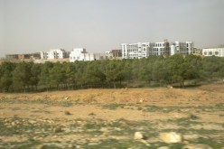 إلتحاق نحو 850 طالب جامعي جديد بالمركز الجامعي بالبيض