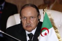 النظام السياسي الجزائري يدخل ضمن الأنظمة الحرة والديمقراطية