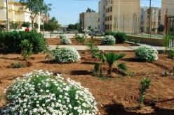 نقص فادح في المساحات الخضراء الحضرية بولاية غليزان