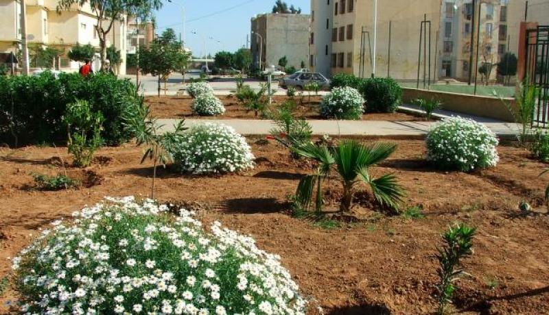 نقص فادح في المساحات الخضراء الحضرية بولاية غليزان