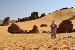 ضرورة تفعيل آليات الترويج لترقية النشاط السياحي بمنطقة الأهقار