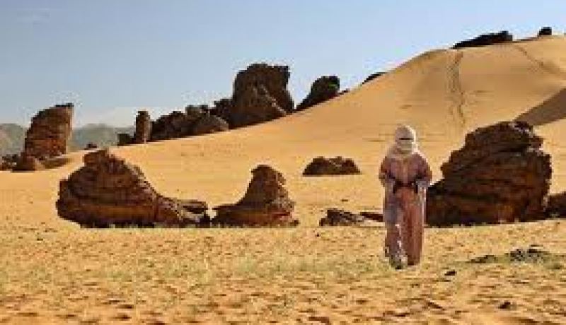 ضرورة تفعيل آليات الترويج لترقية النشاط السياحي بمنطقة الأهقار