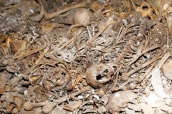 العثور على 48 هيكلا عظميا داخل مقبرة جماعية بسكيكدة يعود إلى العهد الاستعماري