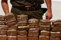 عناصر الحدود لتلمسان تحجز أزيد من قنطار من الكيف المعالج قادمة من المغرب