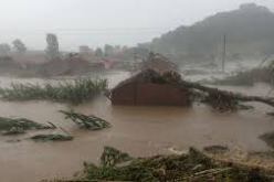 إجلاء أربعة أشخاص والبحث عن آخر مفقود جراء جرف السيول لسيارتين سياحيتين في الجلفة